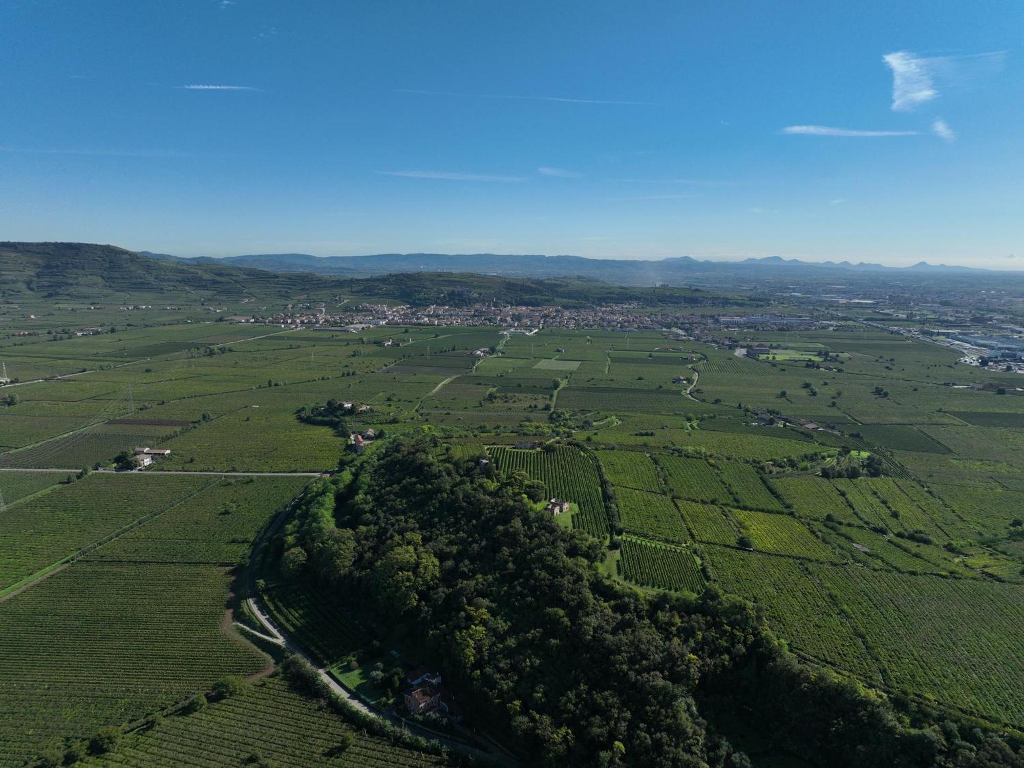 Agriturismo Monte Bisson Soave  Bagian luar foto