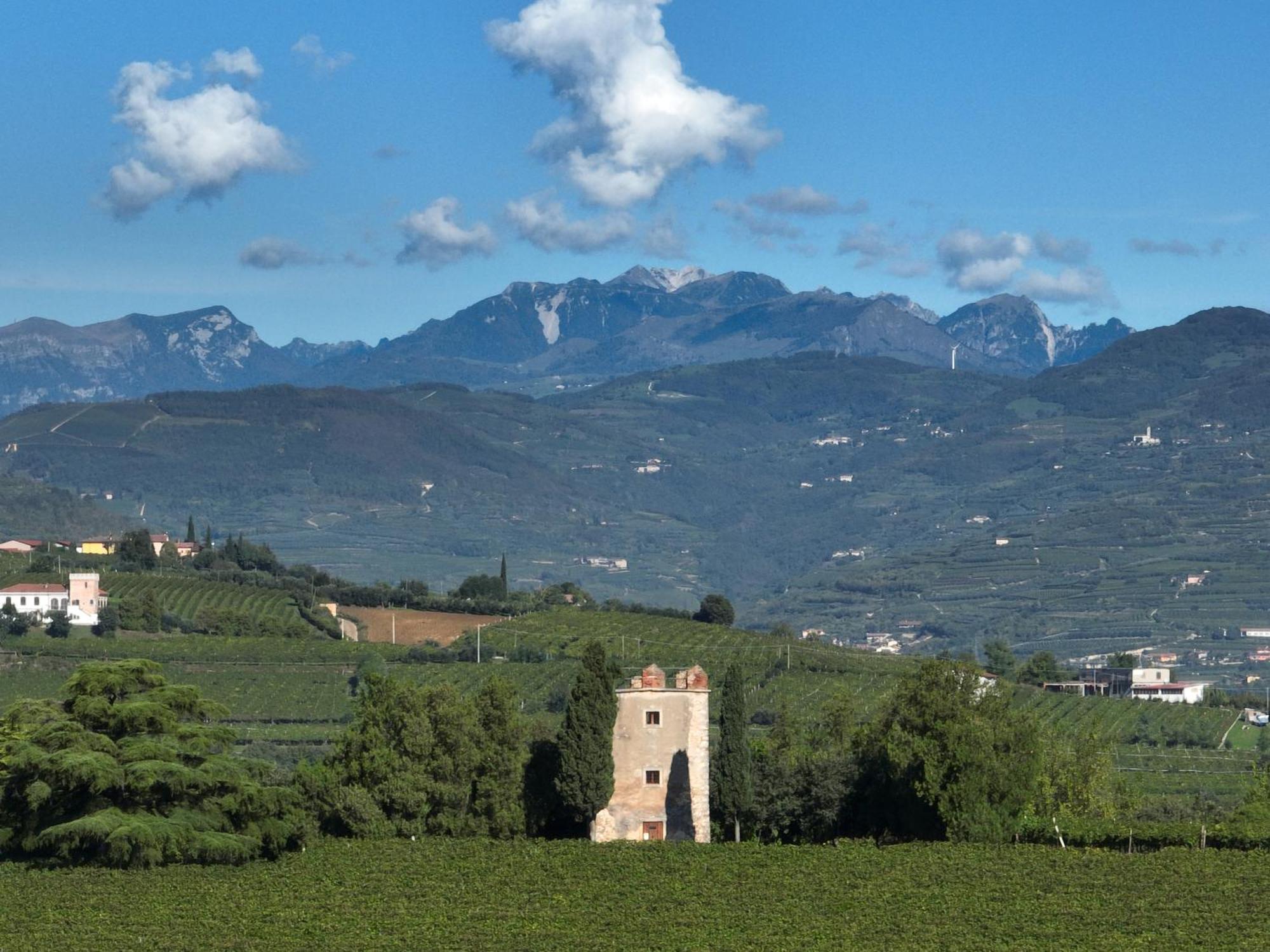 Agriturismo Monte Bisson Soave  Bagian luar foto